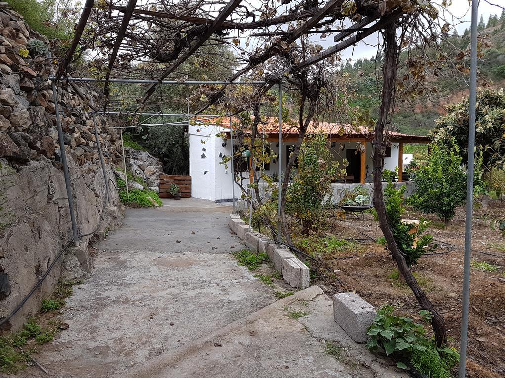 Casa Rural La Hoyita De Tunte San Bartolomé Ngoại thất bức ảnh