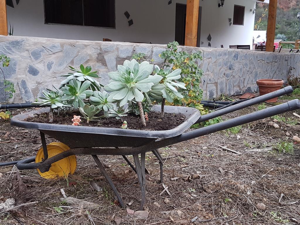Casa Rural La Hoyita De Tunte San Bartolomé Ngoại thất bức ảnh