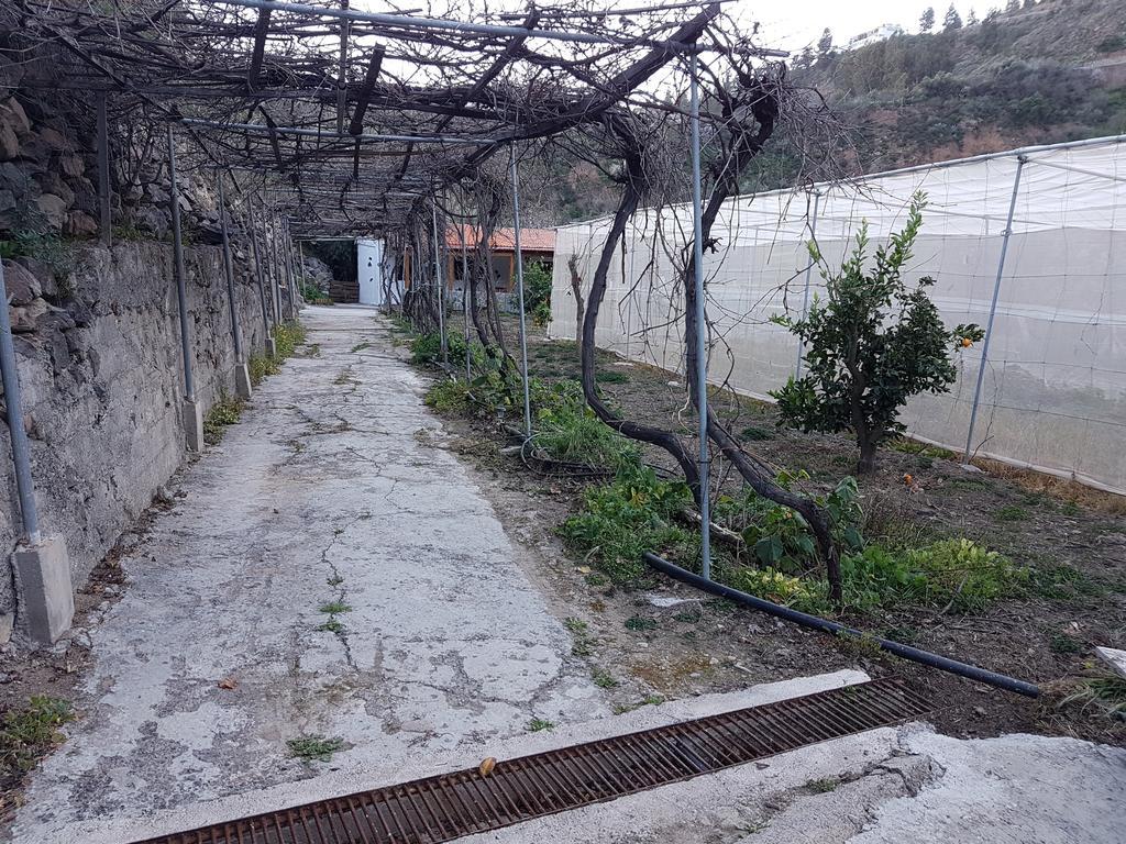 Casa Rural La Hoyita De Tunte San Bartolomé Ngoại thất bức ảnh