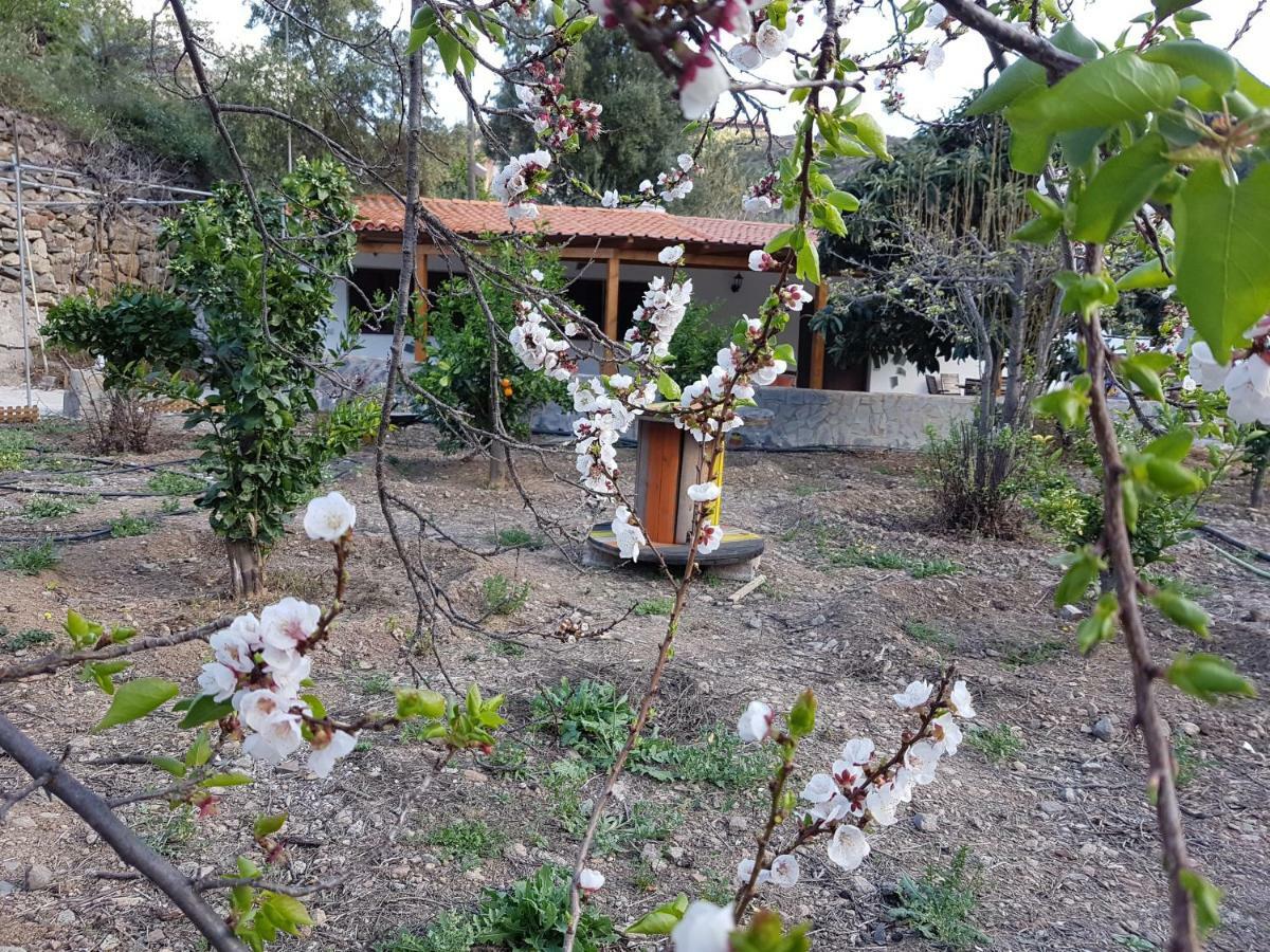 Casa Rural La Hoyita De Tunte San Bartolomé Ngoại thất bức ảnh